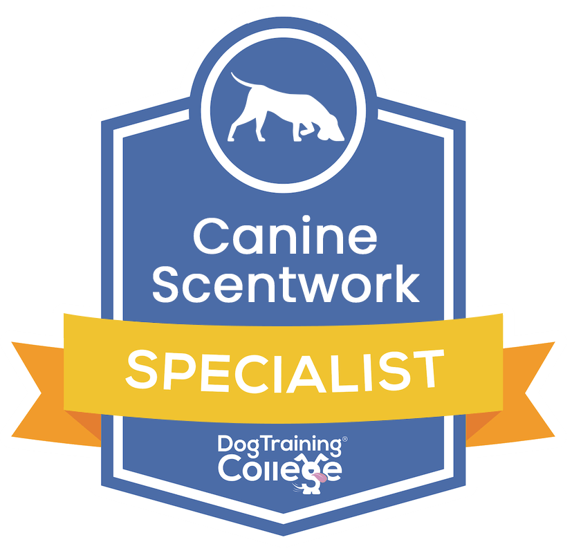 Dog training sale specialist near me